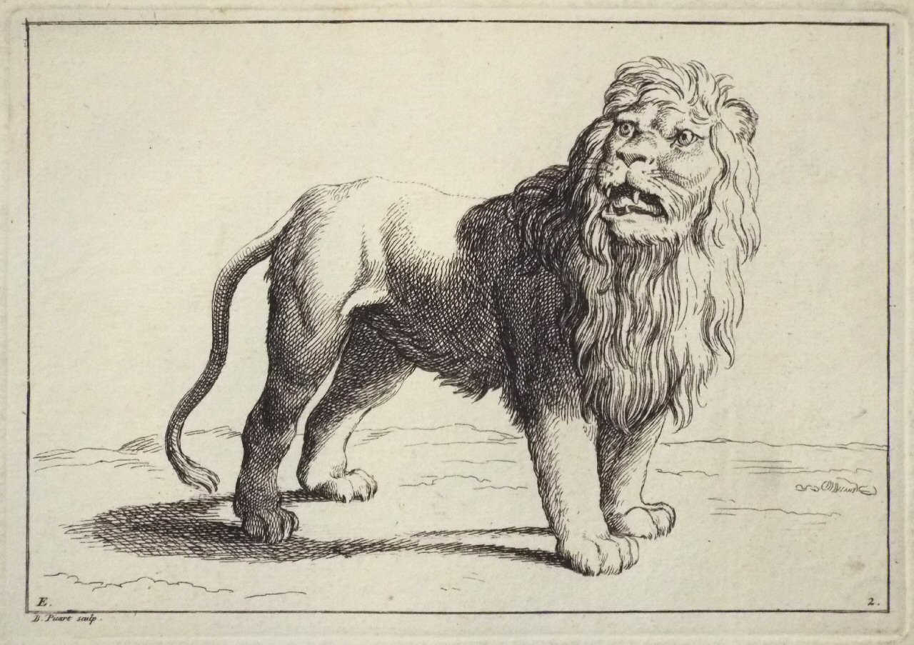 Etching - E. 2. Lion - Picart